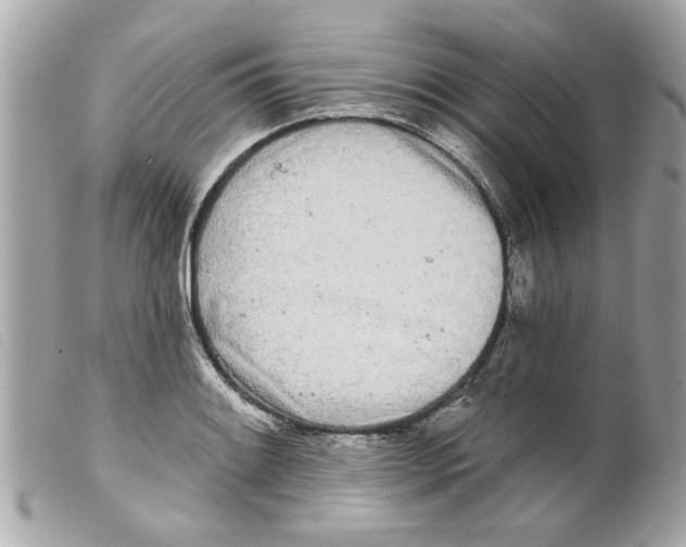 X0000099301084200805301128