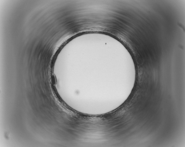 X0000099301085200805301128