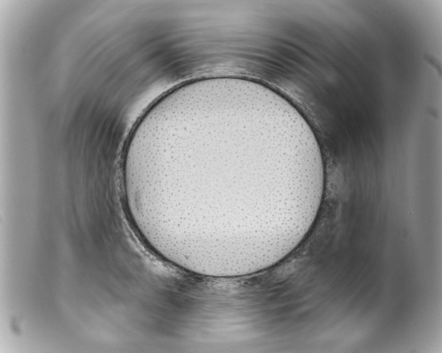 X0000099301086200805301128