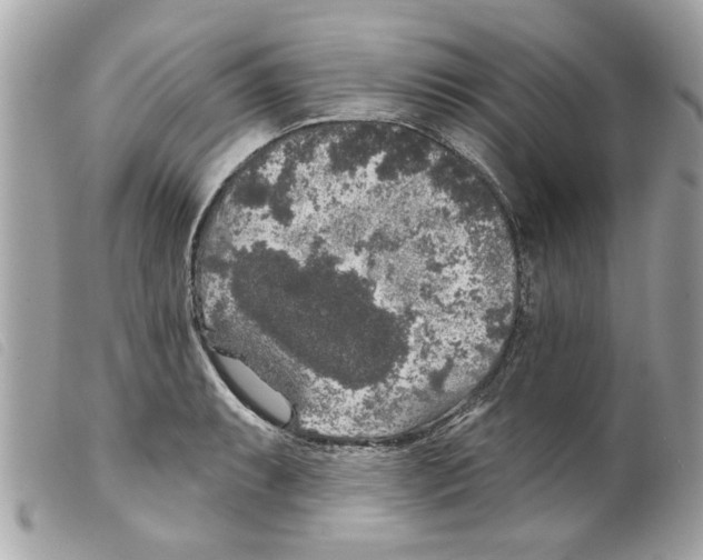 X0000099301087200805301128