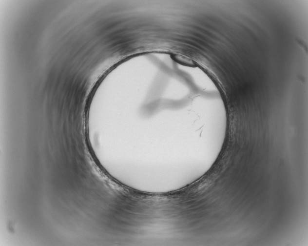 X0000099301088200805301128