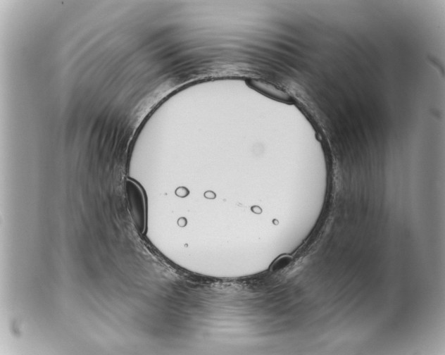 X0000099301089200805301128