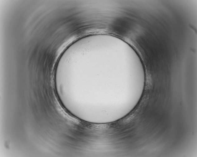 X0000099301090200805301128