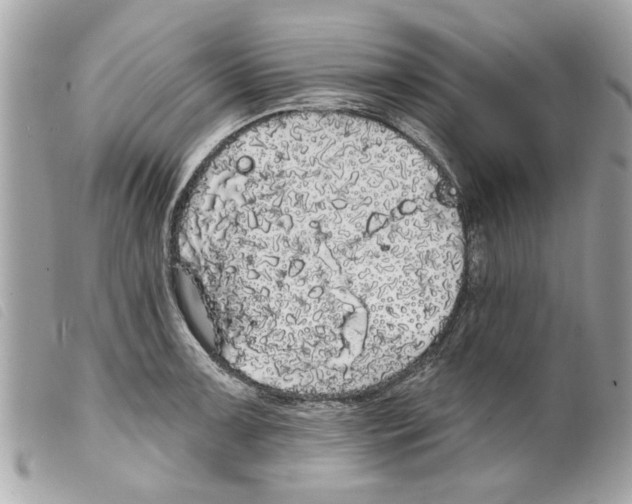 X0000099301091200805301128