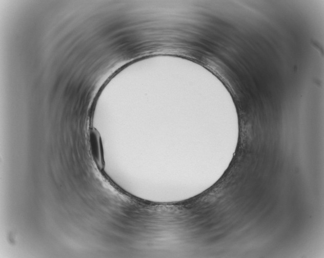 X0000099301092200805301128