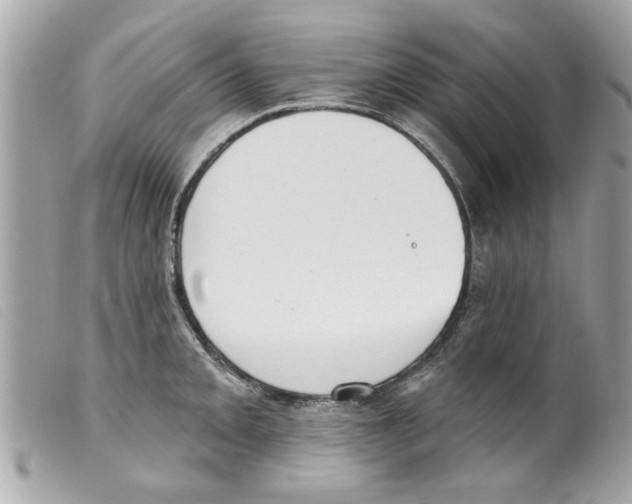 X0000099301093200805301128