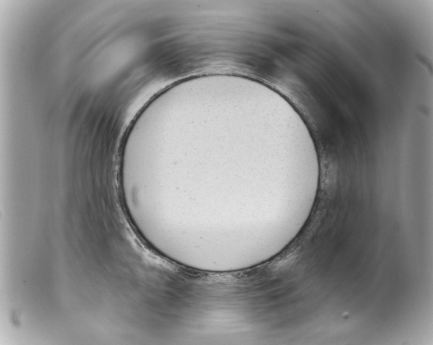 X0000099301094200805301128