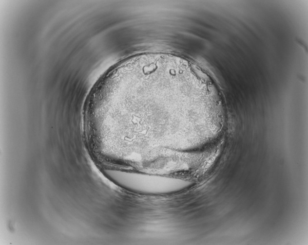 X0000099301095200805301128