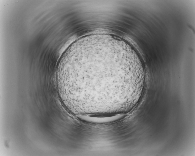 X0000099301097200805301128