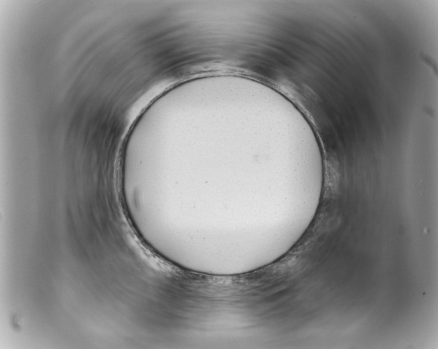 X0000099301098200805301128