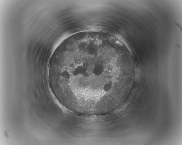 X0000099301099200805301128