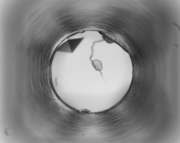 X0000099301100200805301128