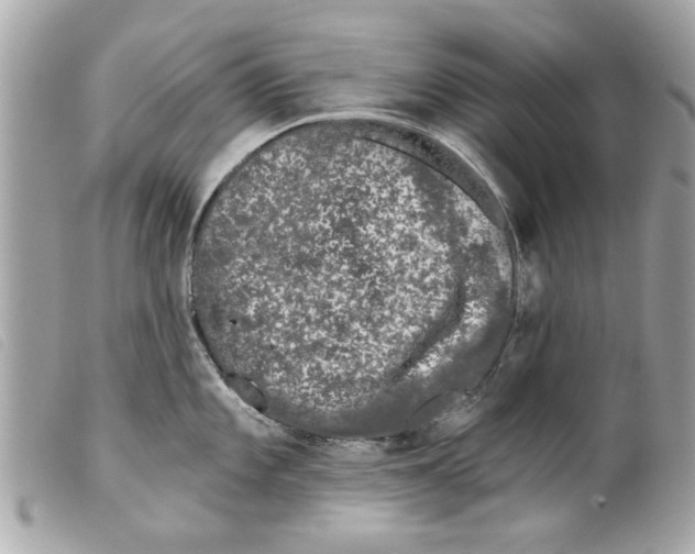 X0000099301101200805301128