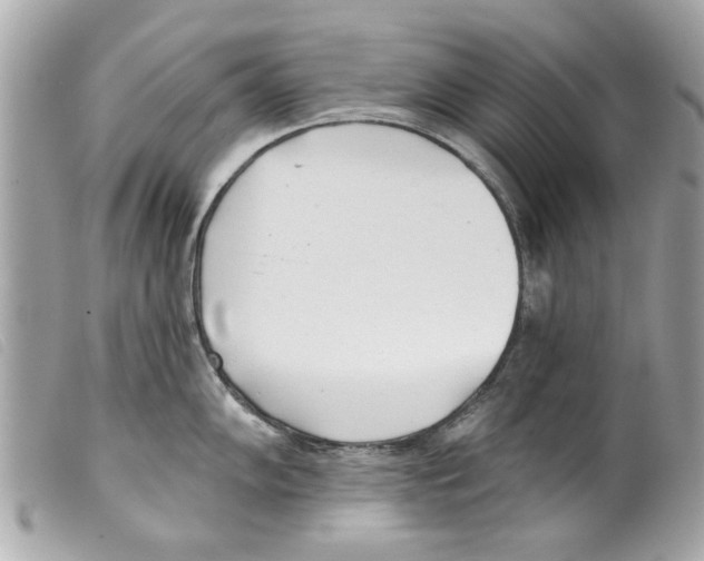 X0000099301102200805301128