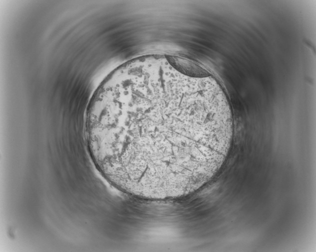 X0000099301103200805301128