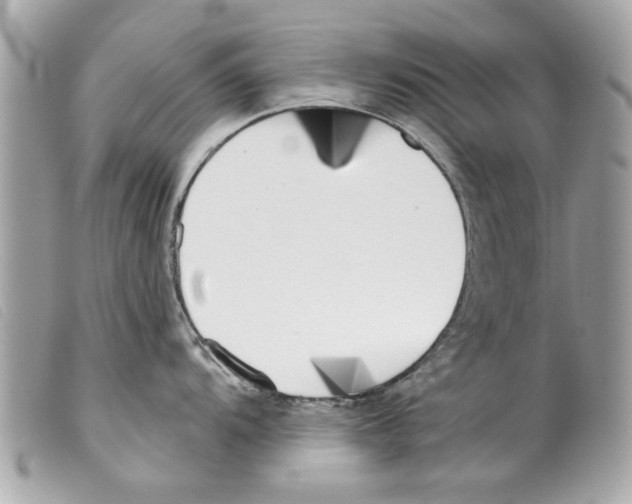 X0000099301104200805301128