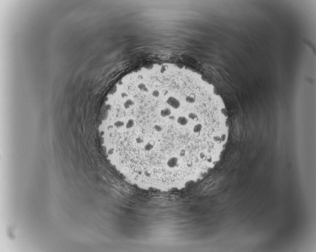 X0000099301105200805301127