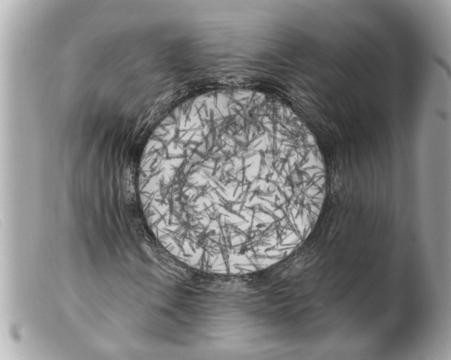 X0000099301106200805301127