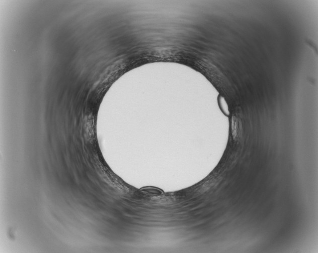 X0000099301107200805301127