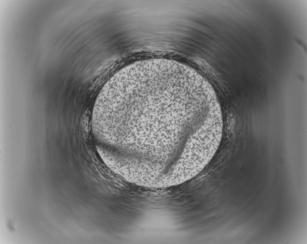 X0000099301110200805301127