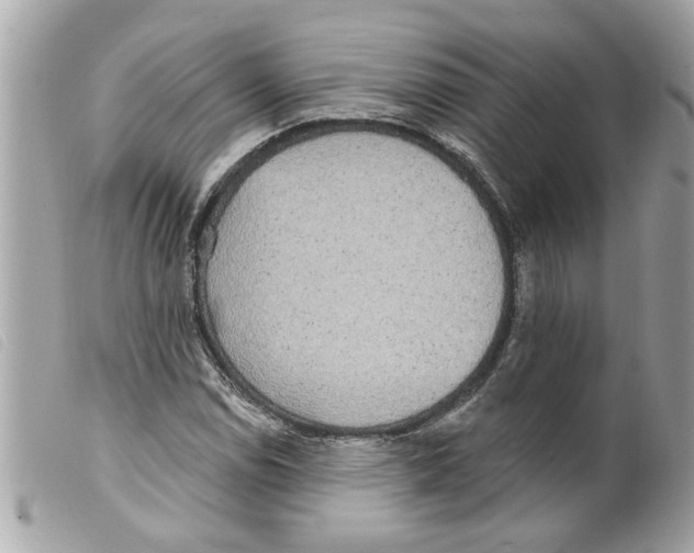 X0000099301114200805301127