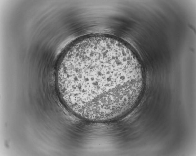 X0000099301115200805301127