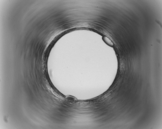 X0000099301116200805301127