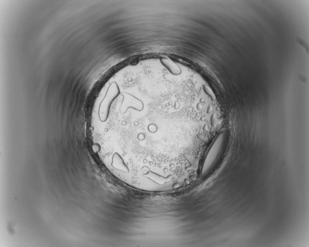 X0000099301117200805301127