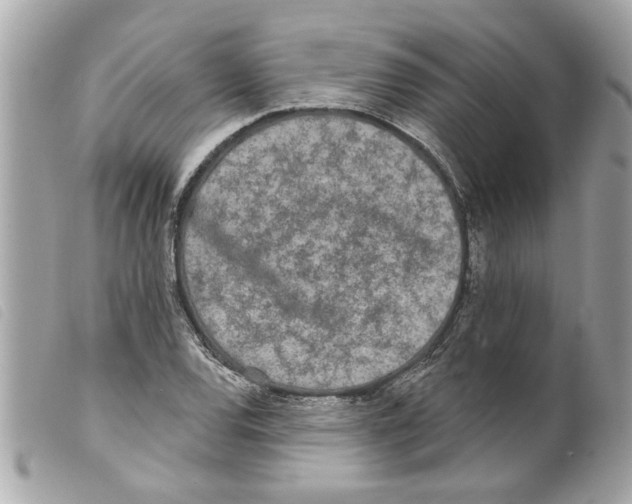 X0000099301120200805301127