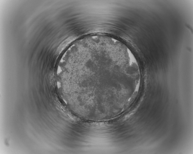 X0000099301121200805301127