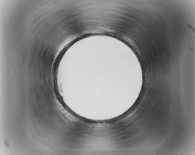 X0000099301122200805301127