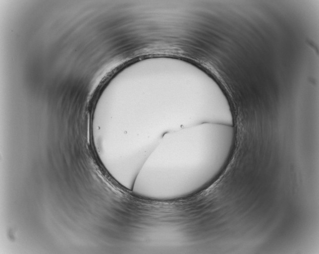 X0000099301123200805301127