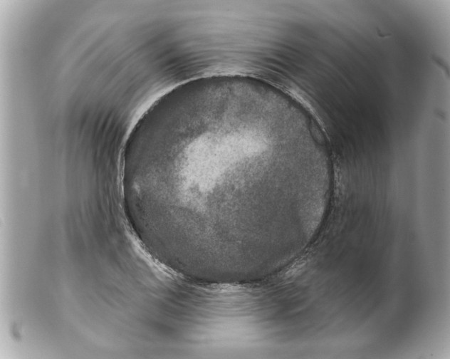 X0000099301124200805301127