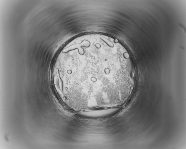 X0000099301125200805301127