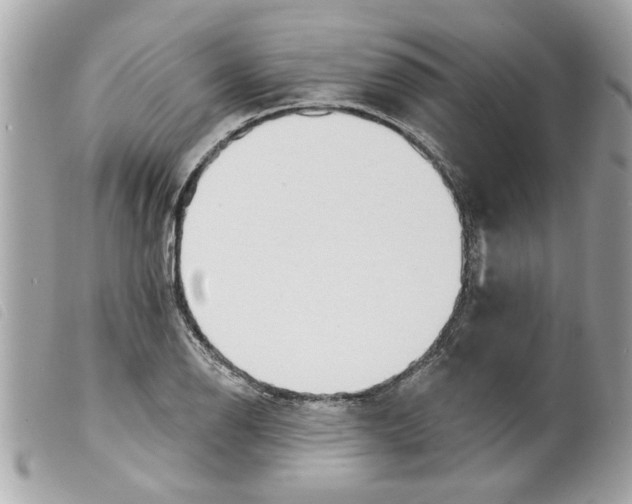 X0000099301126200805301127