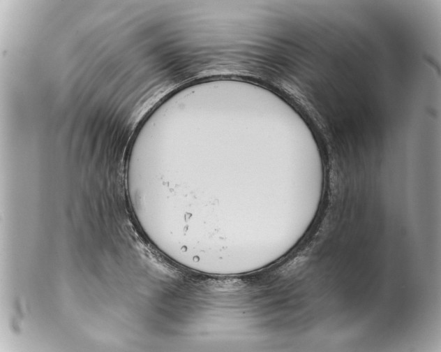 X0000099301129200805301127