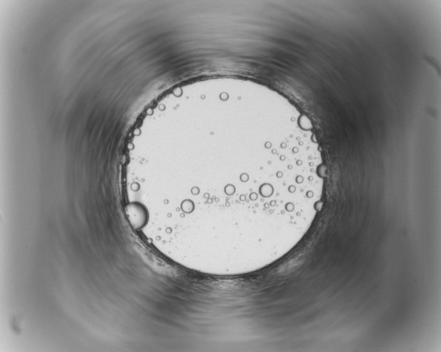 X0000099301130200805301127