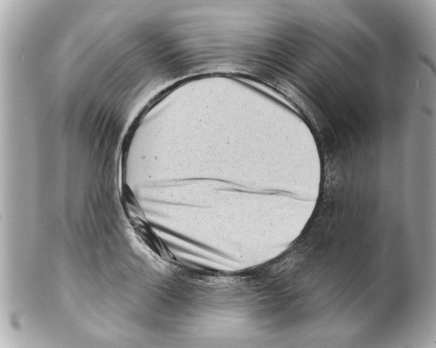 X0000099301132200805301128