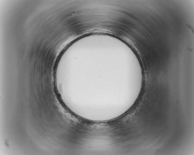 X0000099301133200805301128