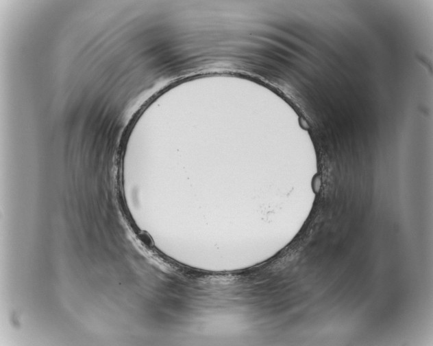 X0000099301134200805301128