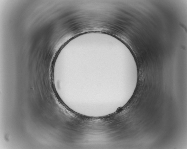 X0000099301135200805301128