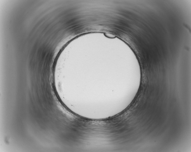 X0000099301136200805301128