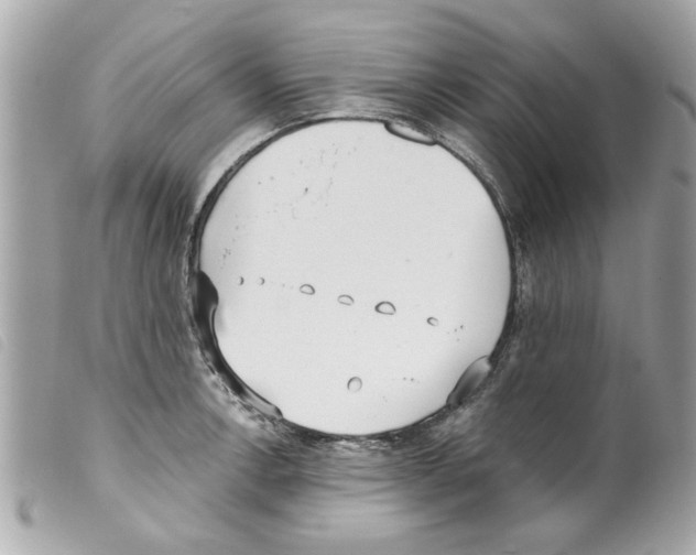 X0000099301138200805301128