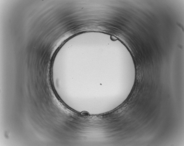 X0000099301139200805301128