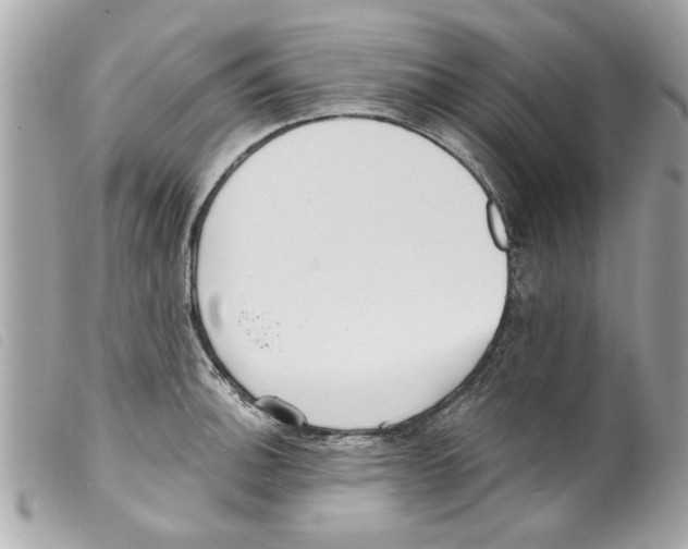 X0000099301140200805301128