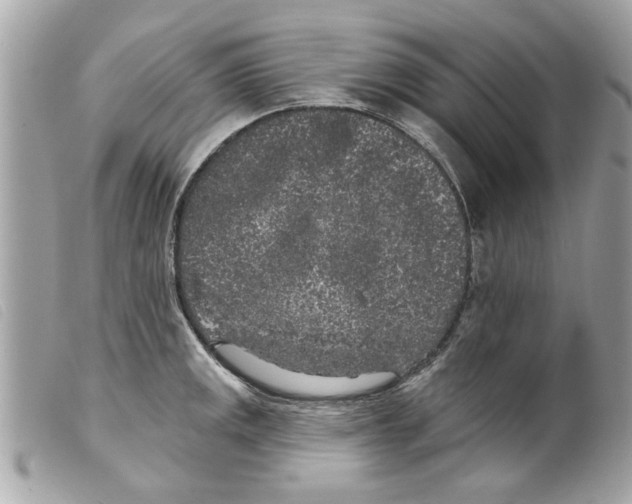 X0000099301141200805301128