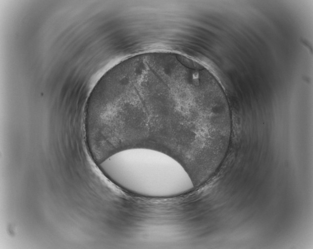 X0000099301142200805301128