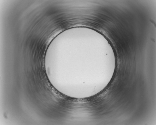 X0000099301145200805301128