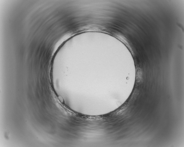 X0000099301146200805301128