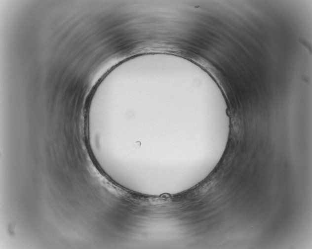 X0000099301147200805301128